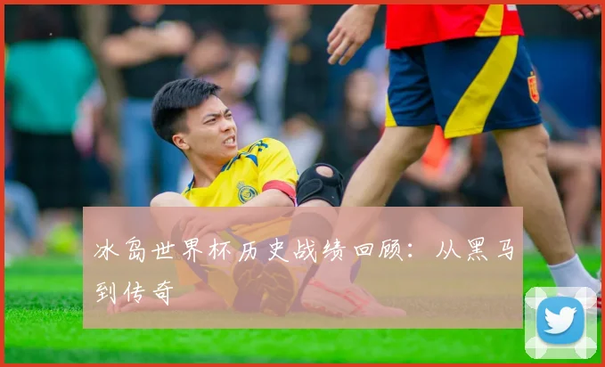 冰岛世界杯历史战绩回顾：从黑马到传奇
