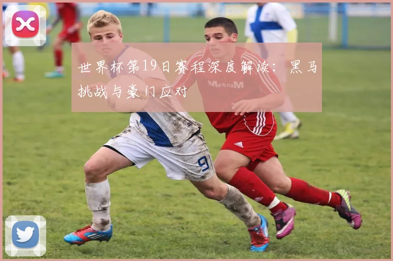 世界杯第19日赛程深度解读：黑马挑战与豪门应对