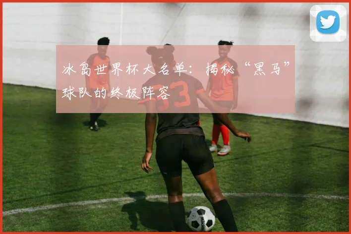 冰岛世界杯大名单：揭秘“黑马”球队的终极阵容