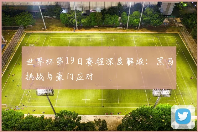 世界杯第19日赛程深度解读：黑马挑战与豪门应对