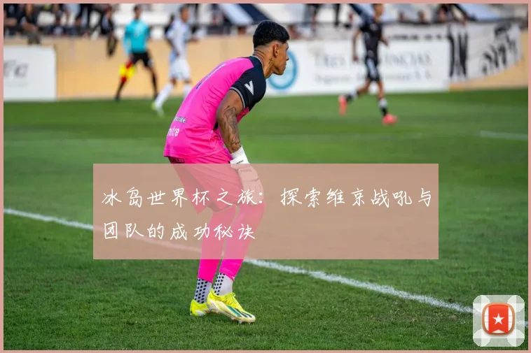 冰岛世界杯之旅：探索维京战吼与团队的成功秘诀