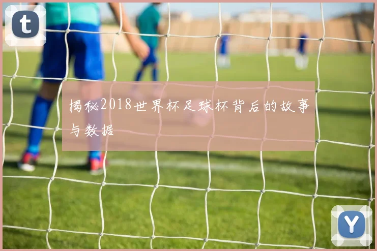 揭秘2018世界杯足球杯背后的故事与数据