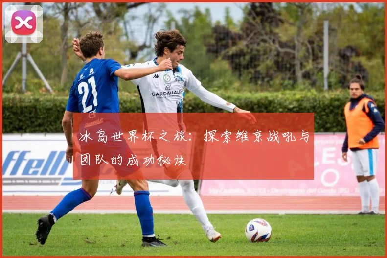 冰岛世界杯之旅：探索维京战吼与团队的成功秘诀